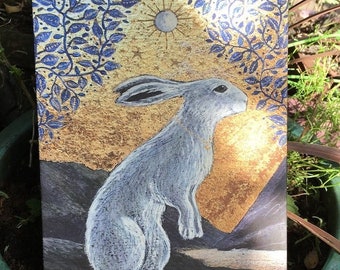 Creggan White Hare Canvas Boxed Print by Hannah Willow