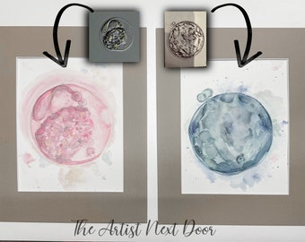 Embryo IVF watercolor rendition from embryo picture, customizable colors. Handpainted to order.