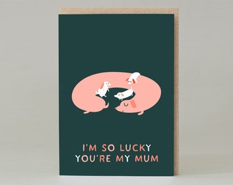 Puede incluir: Tarjeta de felicitación con fondo verde oscuro y forma de perro salchicha rosa con tres perros blancos pequeños en su interior. El texto "I'M SO LUCKY YOU'RE MY MUM" está impreso en blanco y rosa.