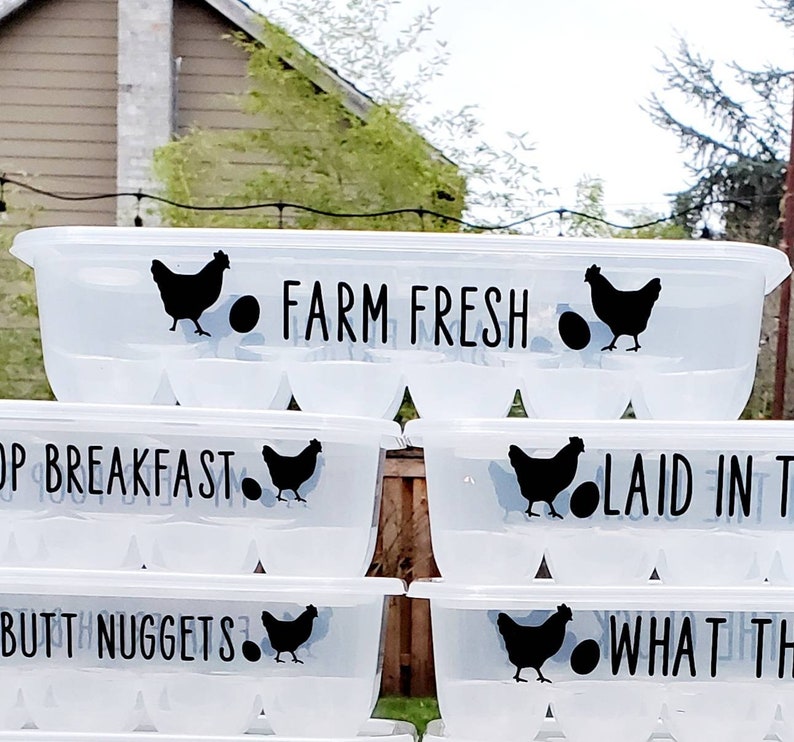 Funny Egg Storage Containers Plastic Egg Holder With Funny Sayings on