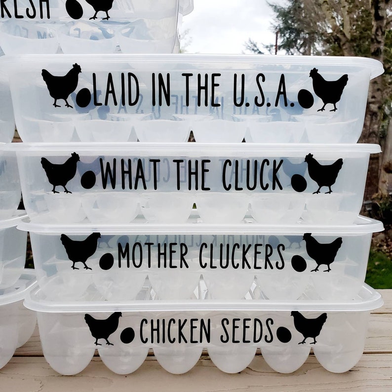 Funny Egg Storage Containers Plastic Egg Holder With Funny Sayings on