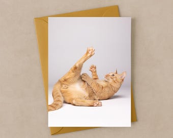 Set of 10 - Silly Cat Pack - Cat 5x7 Blank Inside Thank You Cards