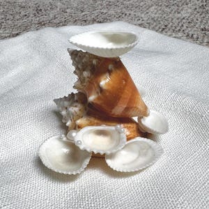 Puede incluir: Una escultura decorativa de conchas marinas. Presenta una gran concha de caracol marrón como base, con conchas blancas más pequeñas y una pequeña concha blanca en forma de cuenco en la parte superior. La escultura está adornada con pequeñas perlas y descansa sobre tela blanca.