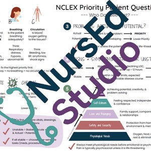 Può includere: Un'infografica colorata con uno stetoscopio e una piramide. L'infografica è intitolata "NCLEX Priority Patient Questions" e include il testo "Who Do You See First?" e "Problems: Actual or Potential?" L'infografica include anche un elenco di domande da porre quando si valuta la condizione di un paziente.