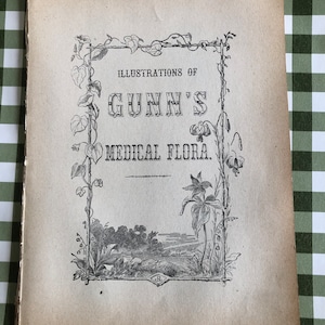 FALL SALE Loose Pages Antique C 1800’s Book Illustrations of Gunns Medical Flora Not Complete Halloween