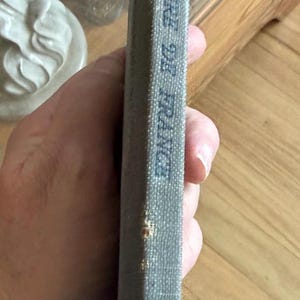 Puede incluir: Lomo de libro vintage, con el t&iacute;tulo "LET'S ABODE DE FRANCE" en letras azules descoloridas. El libro tiene una cubierta gris texturizada y muestra signos de edad, con ligero desgaste.