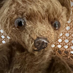 Knickerbocker Bear - Etsy