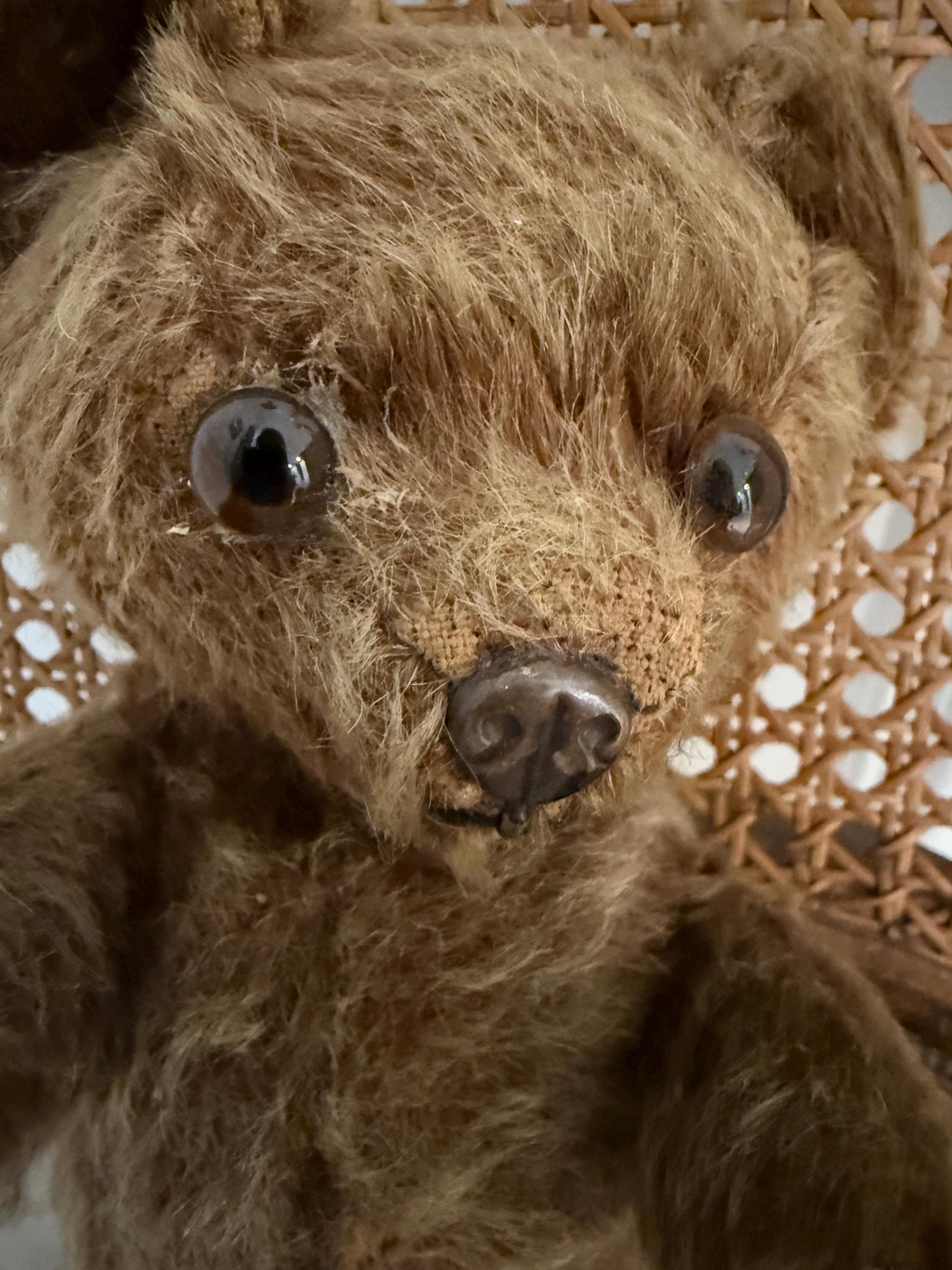 Knickerbocker Bear - Etsy