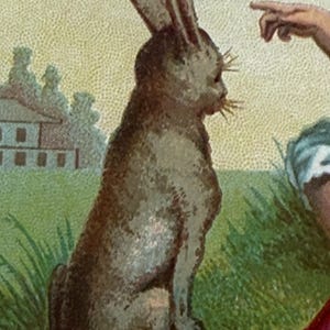 May include: An illustration of a brown rabbit sitting in a grassy field. The rabbit has long ears and is facing right. A person's finger is pointing at the rabbit. A building is in the background.