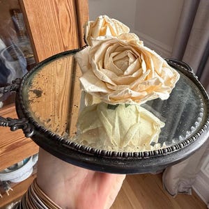 May include: A vintage silver-toned tray with ornate handles and a mirrored surface. Two cream-colored roses rest on the tray, reflecting in the mirror. The tray has a decorative beaded edge, adding to its antique charm.