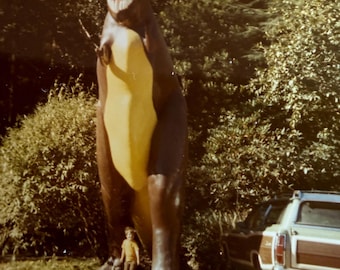 Vintage Colored Snapshot Photo Dated 1971 Huge Dinosaur With Young Lad Standing Below Iconic Wood Panels Station Wagon Ford Country Squire