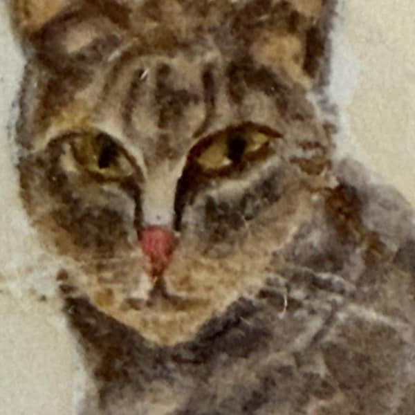Super Adorable Cat Kitty Original Watercolor on Paper Signed & Framed With Mat