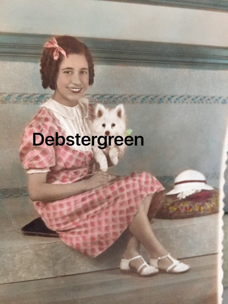 Beautiful Vintage Dog Photo Hand Tinted Photo Little Girl & Her Pomeranian RPPC Real Photo Postcard