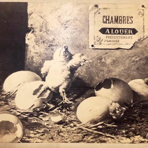 Adorable Vintage Easter Antique French Cabinet Card Baby Chics With Eggs Easter Display French Text Chambres Alouer