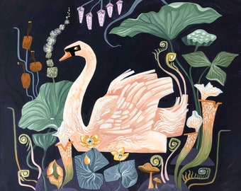 Marshland Swan Art Print 12x12