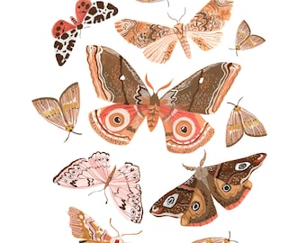 Moth Friends Art Print 11x14