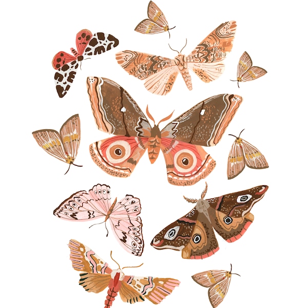 Moth Friends Art Print 11x14