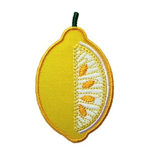 Botanical Lemon Appliques Machine Embroidery Designs Applique Patterns 2 style variations in 3 sizes 3, 4 and 5 image 1
