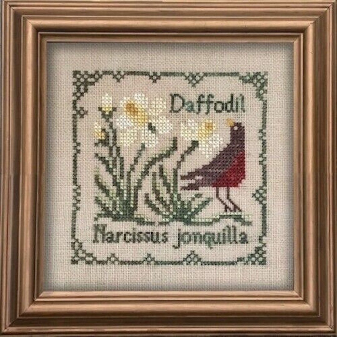 The Drawn Thread Cross Stitch Pattern DR294 Daffodil Etsy
