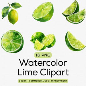 May include: Watercolor lime clipart featuring whole limes, lime halves, and lime wedges in various arrangements. The limes are painted in shades of green, with detailed textures and realistic shading. The text "Watercolor Lime Clipart" is included.