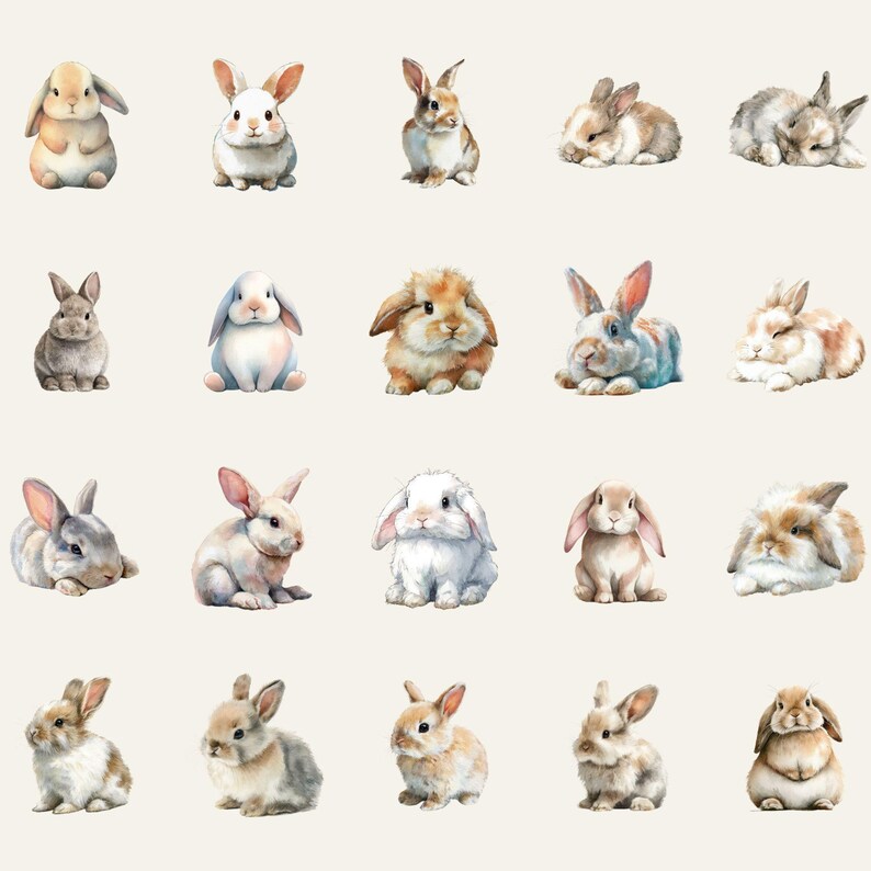 Watercolor Bunny Clipart Bundle, Rabbit PNG Illustrations (digital ...