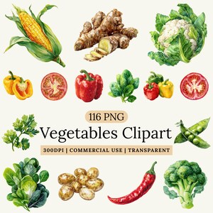 Könnte beinhalten: Aquarell-Illustration verschiedener Gemüsesorten, darunter Mais, Ingwer, Blumenkohl, Paprika, Tomaten, Spinat, Petersilie, Erbsen, Kartoffeln, eine Chilischote und Brokkoli. Der Text "Vegetables Clipart" wird angezeigt.