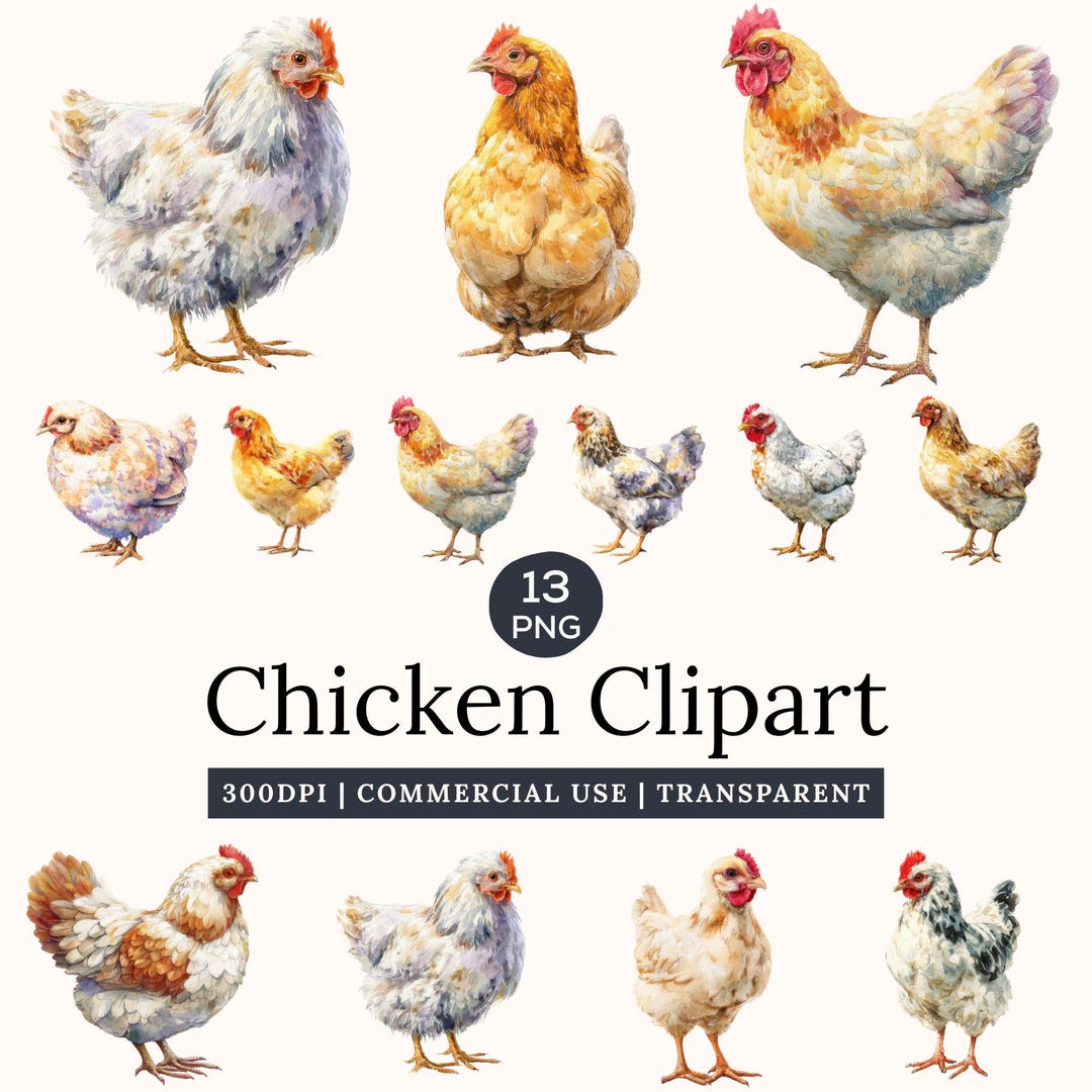 Chicken Watercolor Clipart, Farm Poultry PNG, 13 PNG Images (digital ...
