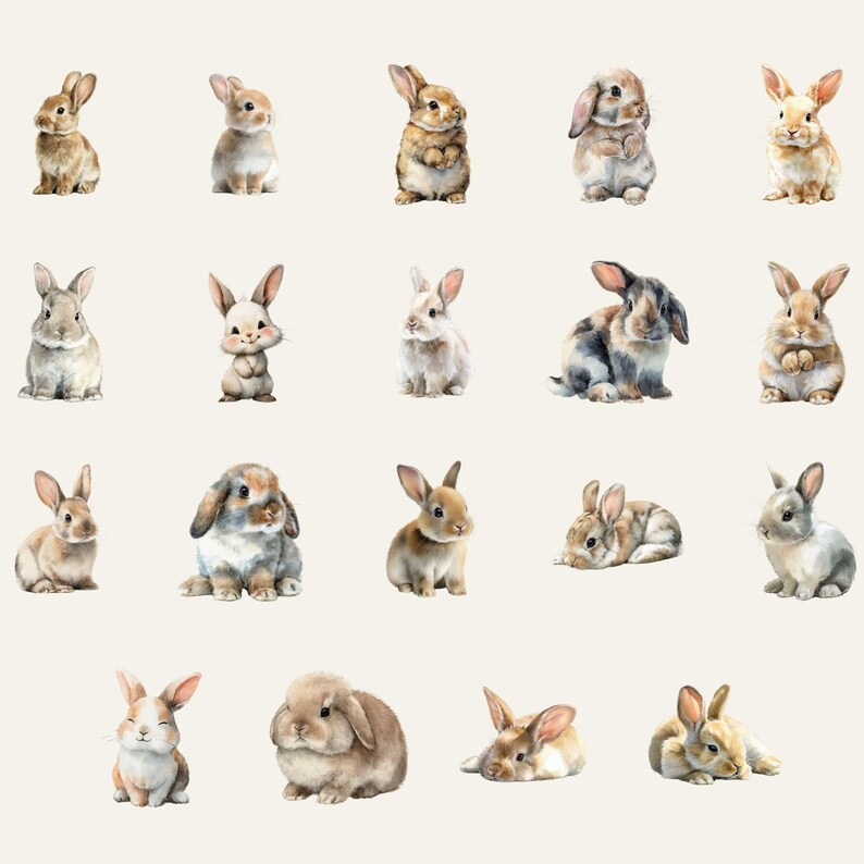 Watercolor Bunny Clipart Bundle, Rabbit PNG Illustrations (digital ...