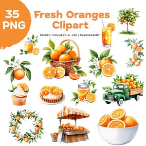 Puede incluir: Una colección digital de 35 ilustraciones en acuarela con temática de naranjas que incluye una cesta de naranjas, un camión verde, un puesto de frutas, un bol de rodajas de naranja, un cupcake, una corona y naranjos con el texto 35 PNG.