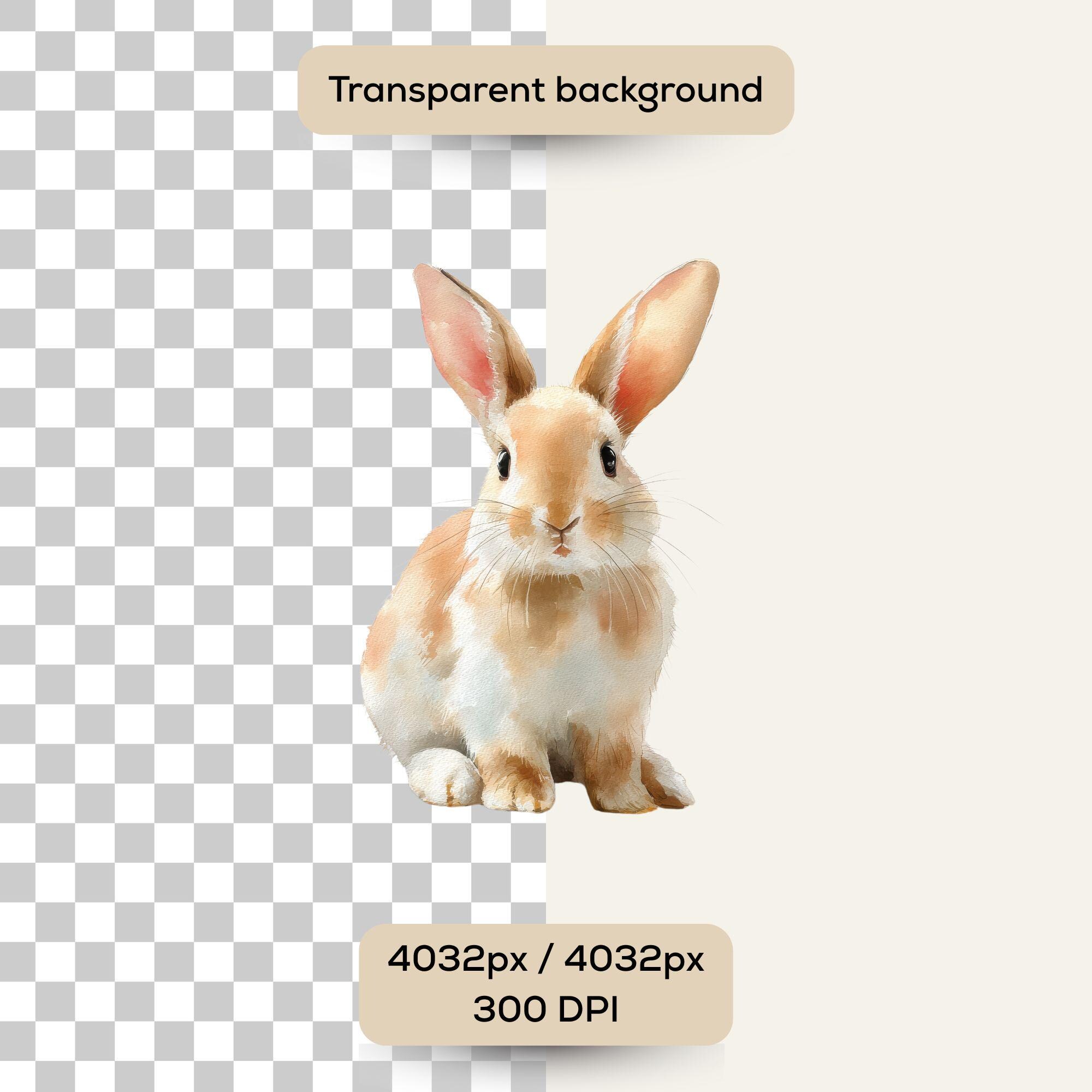 Watercolor Bunny Clipart Bundle, Rabbit PNG Illustrations (digital ...