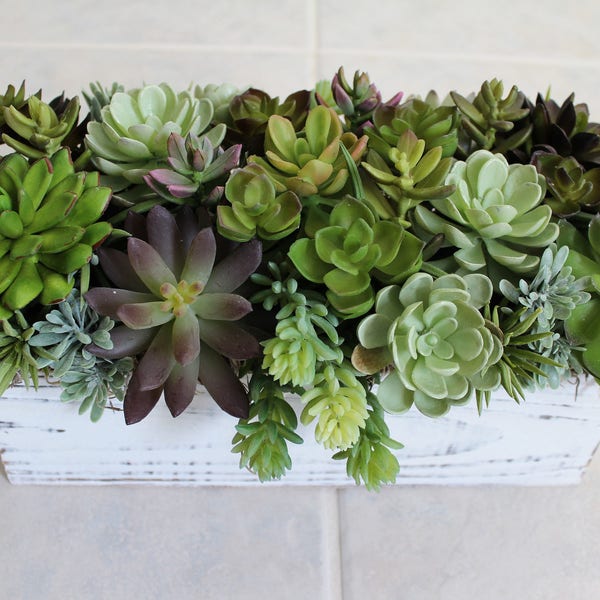 Artificial Succulent Arrangement in a Rustic White Wood Box, Centerpiece, Home Decoration, Faux Plant, Green, Garden, Vintage, Farmhouse