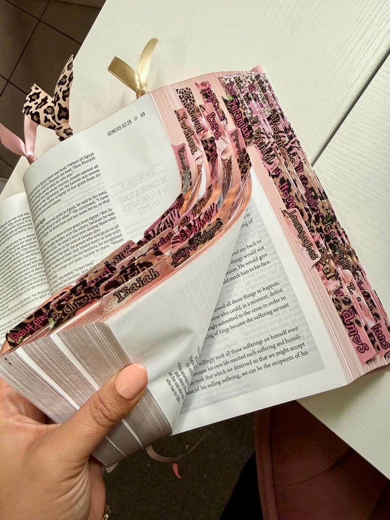 Pink NIV Jesus Bible, Cheetah Tabs, Personalized Gift imagem 2