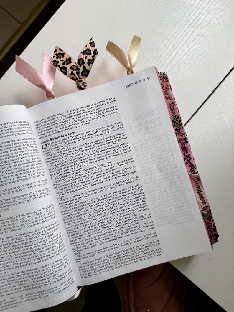 Pink NIV Jesus Bible, Cheetah Tabs, Personalized Gift imagem 9
