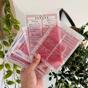 Può includere: Un mucchio di carte rosa e bianche con testo, tenute in mano. Le carte hanno accenti floreali e testo che recita "Esodo" e "Genesi". Le carte sembrano essere guide allo studio o materiali di riferimento.