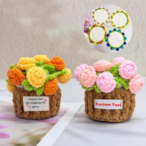 Personalisierte häkeln Rose Untersetzer mit Topflappen, häkeln Mini Rose Bouquet, häkeln Blumentopf, danke Geschenk für Mama / Lehrer, Home Decor