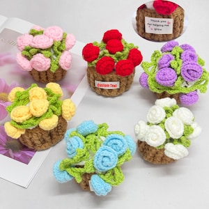 Personalisierte häkeln Rose Untersetzer mit Topflappen, häkeln Mini Rose Bouquet, häkeln Blumentopf, danke Geschenk für Mama / Lehrer, Home Decor
