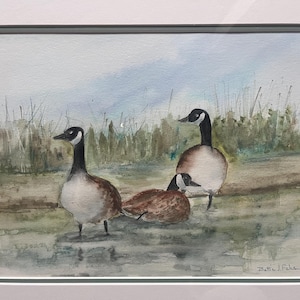 May include: Watercolor painting of three Canada geese in a wetland setting. Two geese stand with black heads and necks, white cheeks, and brown bodies. One goose rests with its head tucked. The artwork is framed.
