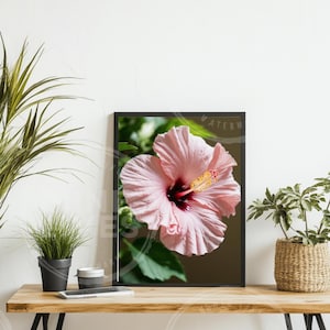 Hibiscus Wall Art Print Pink and green Hibiscus Flower Poster Tropical Art Beach House Decor Tropical Decor botanical print gift for her