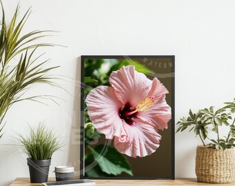 Pink Hibiscus Flower Art Print, Tropical Wall Decor (Digital Download)