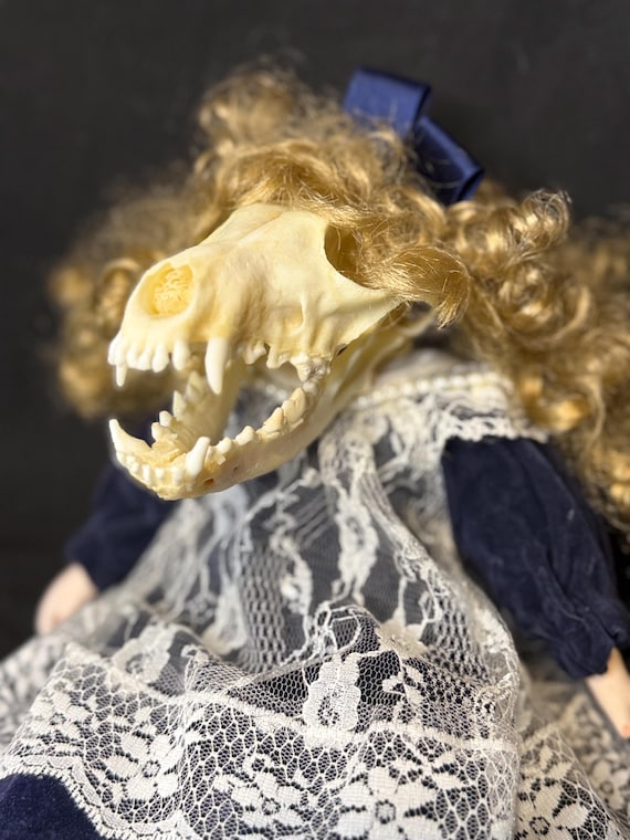 A real coyote skull nested inside a porcelain antique doll — taxidermy meets Victorian gothic in one genuinely unsettling, one-of-a-kind art object.