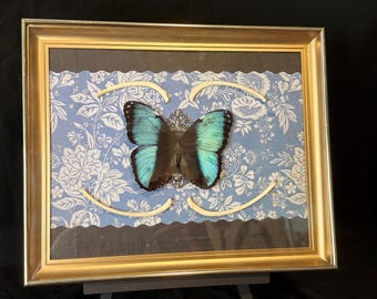 Blues and Bones | Butterfly & Badger Rib Bone Art | OOAK Witchy Home Decor Gift | Mixed Media Taxidermy
