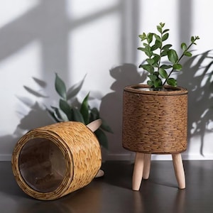 May include: Two woven rattan planters. One upright, with a plant inside, stands on three wooden legs. The other, similar in design, lies on its side. Both have a natural brown color and a clear interior.