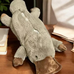 Joli sac à stylos en ornithorynque en peluche - Étui à crayons en peluche douce, rangement de papeterie kawaii pour étudiants et cadeaux