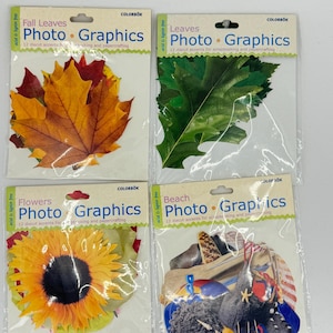 DESTASH Colorbok Photo Graphics - Elementos troquelados - Álbum de recortes con flores, hojas, conchas y playa