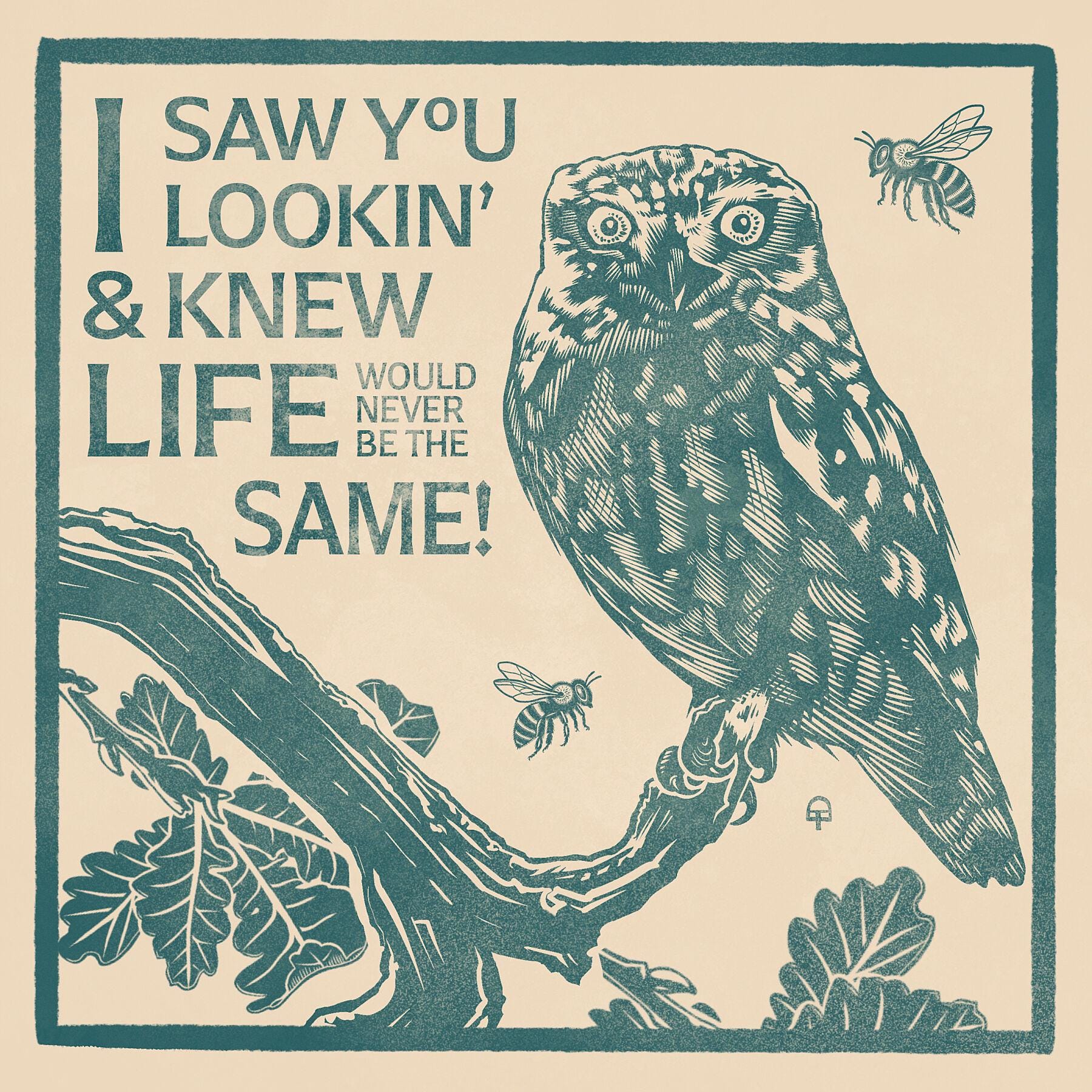 Romantic Owl Hand Drawn Wall Art Retro Illustrated Design For Love And Appreciation Decor Block Prin