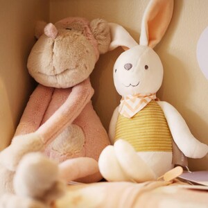 May include: A pink plush monkey and a white plush bunny with a yellow and orange striped shirt. Both stuffed animals are sitting in a box.
