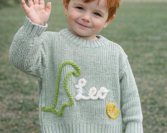 Personalised Hand-Felted Dinosaur Jumper - Custom Name Cotton Sweater