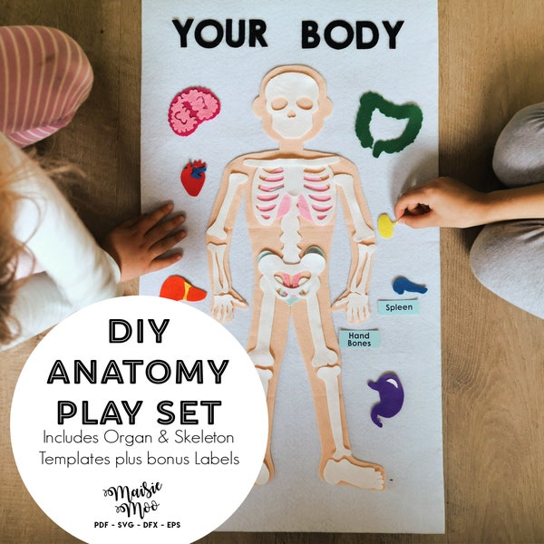 Menselijke anatomie speelset | Vilt lichaamsorganen SVG | Viltbord skelet SVG | Pdf-patroon | Thuisonderwijs | Montessori