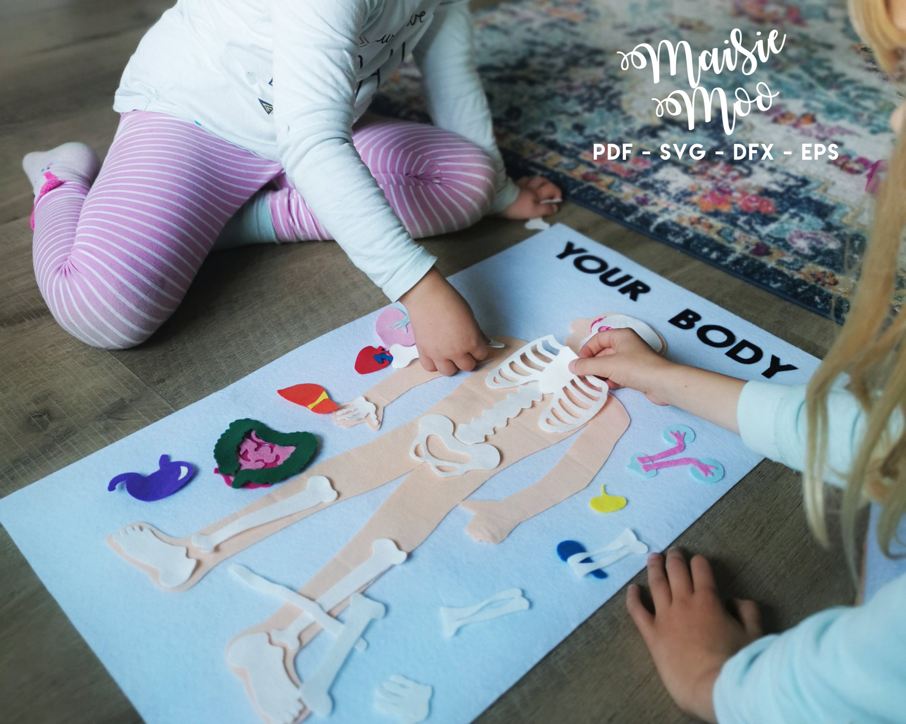 SVG Human Anatomy Play Set Organs SVG Felt Board Skeleton | Etsy