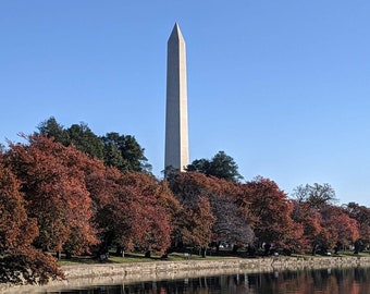 Monumenten: Washington Monument in Fall, Herfst, Bladeren, Washington DC